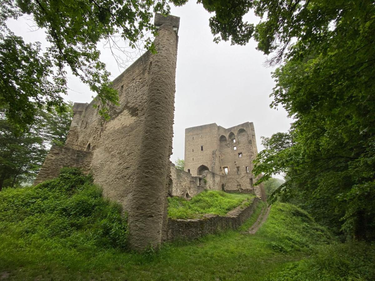 Neu!!! Netflix!!! Schoene Ferienwohnungen Im Gruenen Mit Top Ausstattung - Nur 15 Min Bis Koblenz Eitelborn Esterno foto